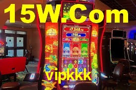 vipkkk.com